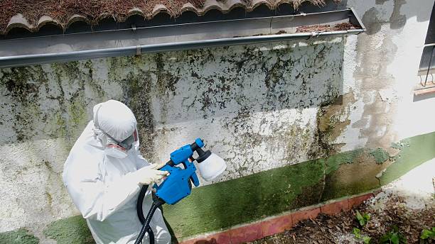 Trusted Commercial Mold Remediation service in Lilburn, GA - Cheap Mold Removal